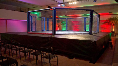 Trazendo ao evento toda a ambientação de uma verdadeira luta de MMA, incluindo o octógono.