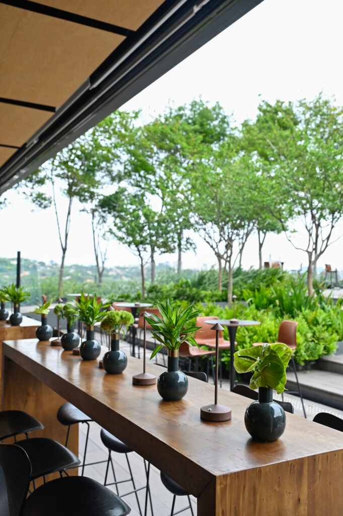 Uma vista privilegiada