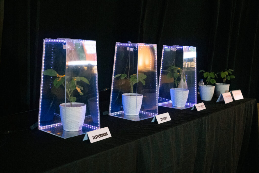 Cenário personalizado